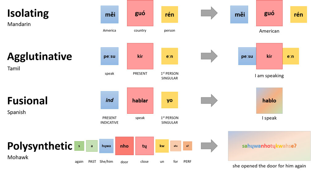 Provides examples of the morphological typology of Mandarin, isolating language, Tamil, an agglutinative language, Spanish, a fusional language, and Mohawk, a polysynthetic language. The image illustrates the meanings of the morpheme components of the words or phrases, and how they combine to express meaning.
Isolating language (Mandarin): měi (America), guó (country), and rén (person) combined into měi guó rén which means “American”.
Agglutinative language (Tamil): peːsu (speak), kir (present), and eːn (1st person singular) combined into peːsu kir eːn which means “I am speaking”.
Fusional (Spanish): ind (present indicative), hablar (speak) and yo (1st person singular) combined into hablo which means “I speak”.
Polysynthetic (Mohawk): s (again), a (past), hųwa(she/him), nho (door), tų (close), kw (un), ahs (for), eʔ (perfective) combined into sahųwanhotųkwahseʔ which means “she opened the door for him again”.